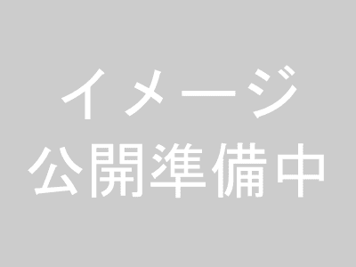 公開準備中